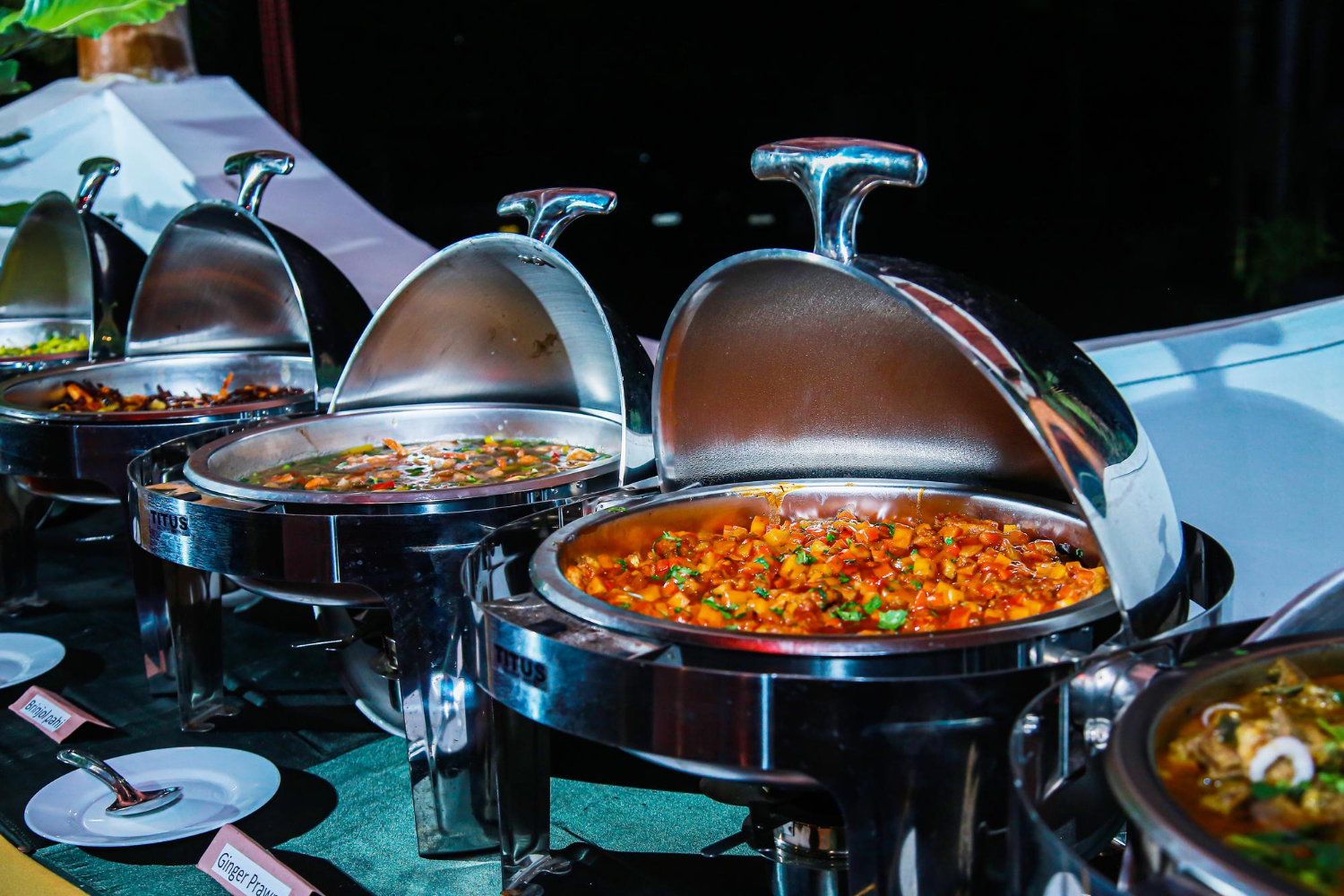 Catering Illustration